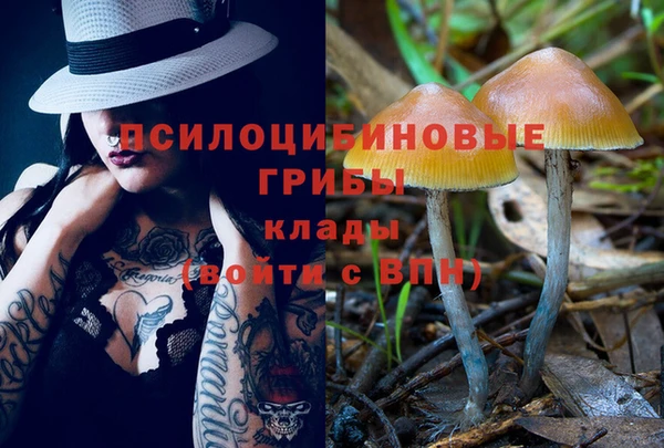 Альфа ПВП Алексеевка